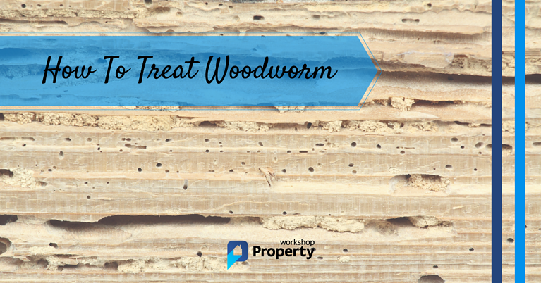 how to treat woodworm