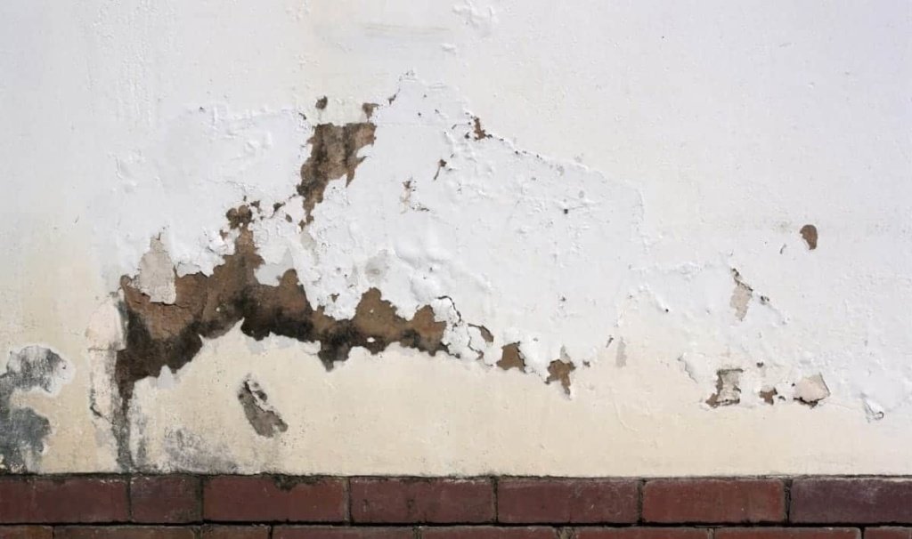 flaking paint on the exterior wall indicating rising damp