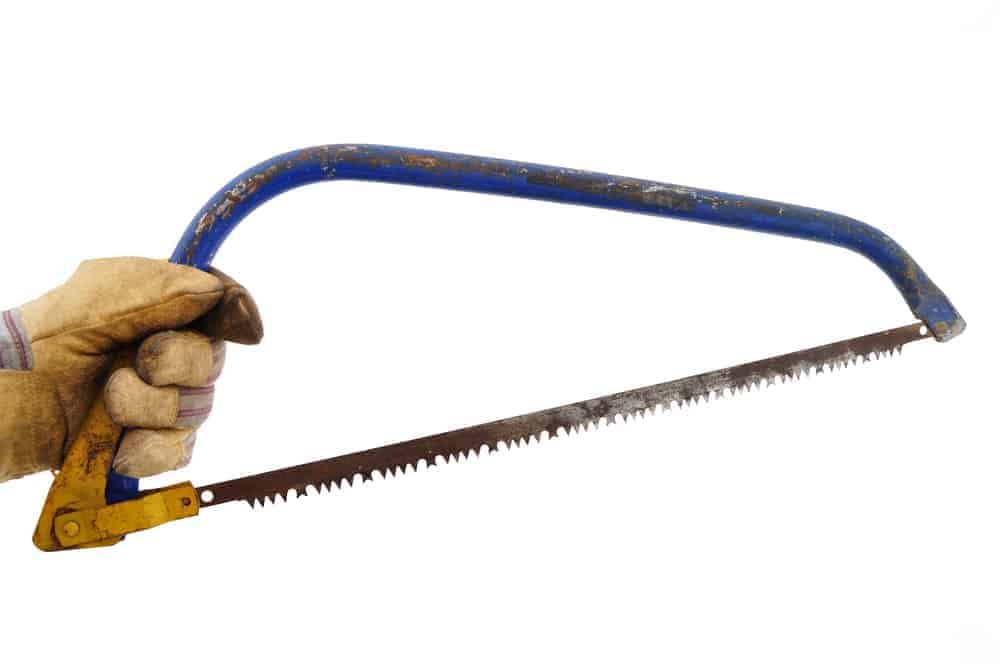 man holding bow saw