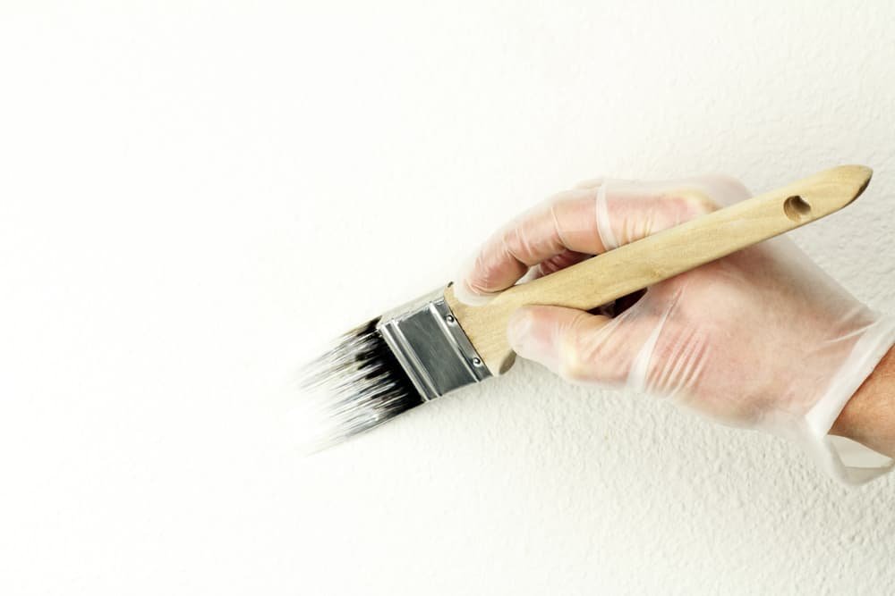 decorator painting textured wall