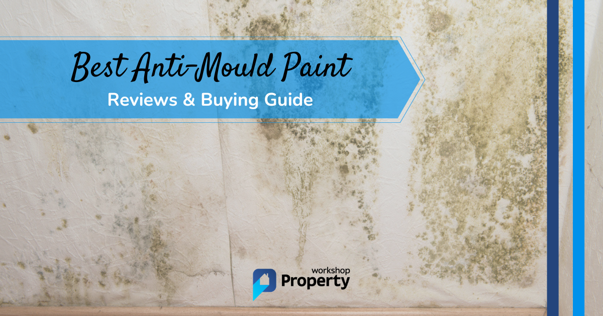 best anti-mould paint