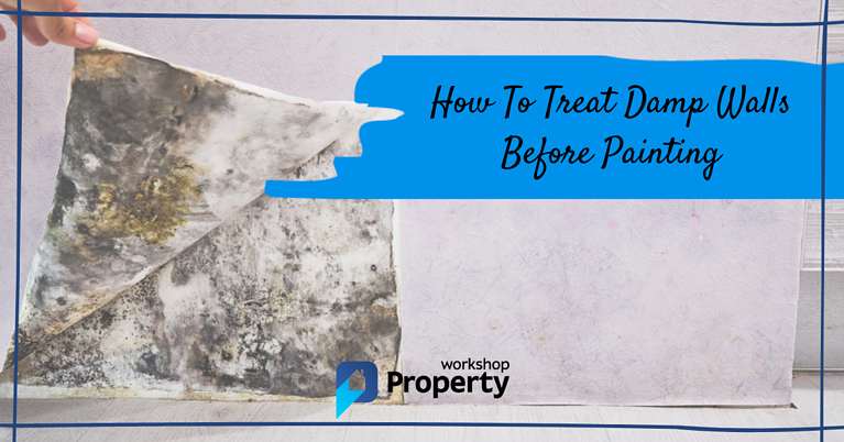how to treat damp walls before painting