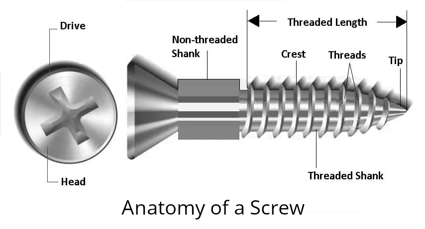 anatomy of a screw
