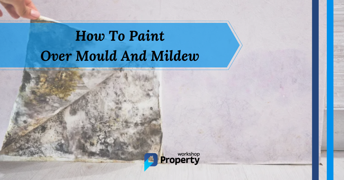 how to paint over mould and mildew